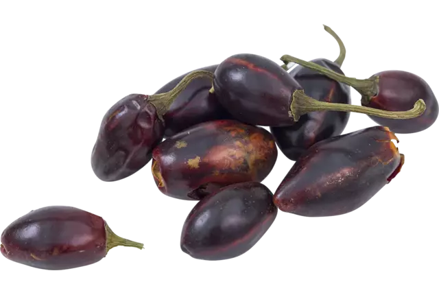 Cascabel peper gedroogd 100gr kist 8 stuks